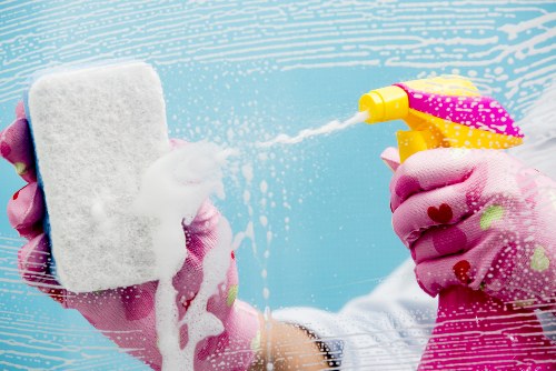 Restoring clean carpets with expert pet stain odour removal in Balham