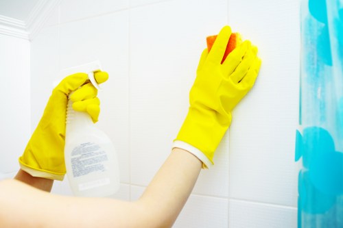 Review of carpet cleaning issue details and service records