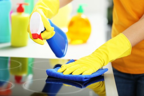 Secure Balham Carpet Cleaners payment area with encrypted checkout