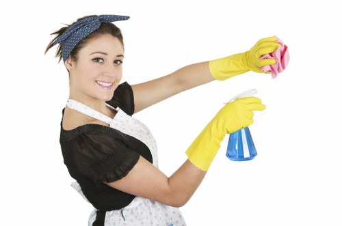 Keyboard navigable accessibility information for Balham carpet cleaners