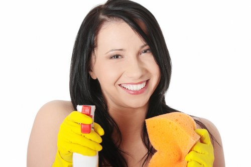 Detailed carpet cleaning process for homes and businesses in Balham